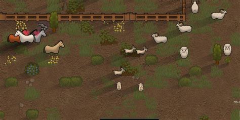 rimworld horses|The Best Farm Animals In RimWorld .